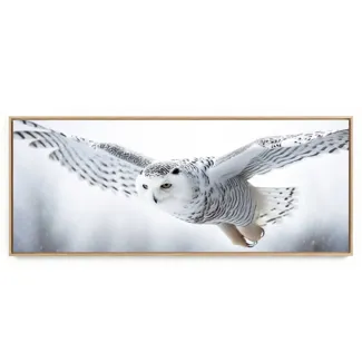 Quadro Decorativo Panorâmico Coruja IV