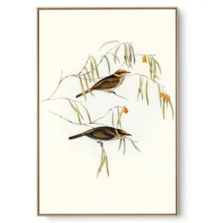 Quadro Decorativo Pássaro Vintage I