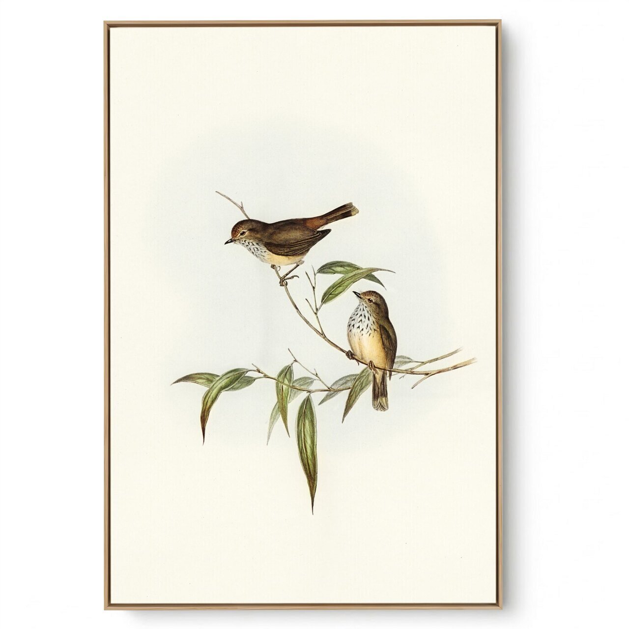 Quadro Decorativo Pássaro Vintage III