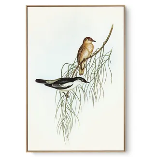 Quadro Decorativo Pássaro Vintage IV
