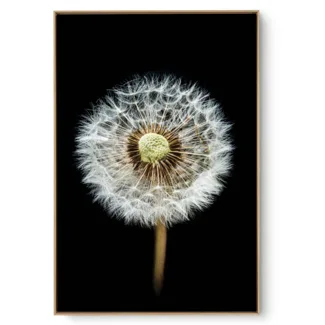 Quadro Decorativo Suave e Black
