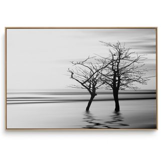 Quadro Decorativo Sereno II