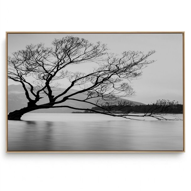 Quadro Decorativo Sereno III