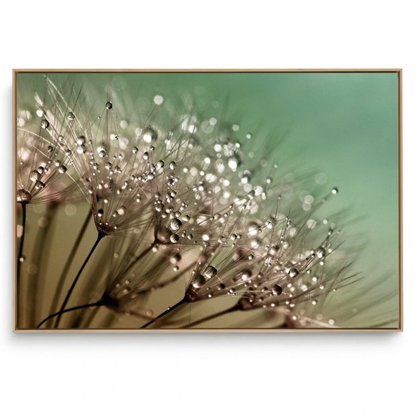 Quadro Decorativo Suave Orvalho