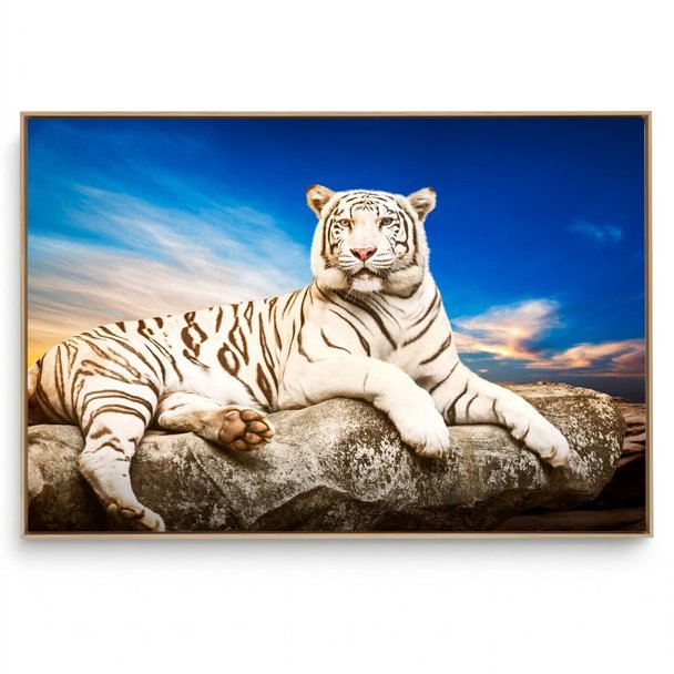 Quadro Decorativo Tigre II