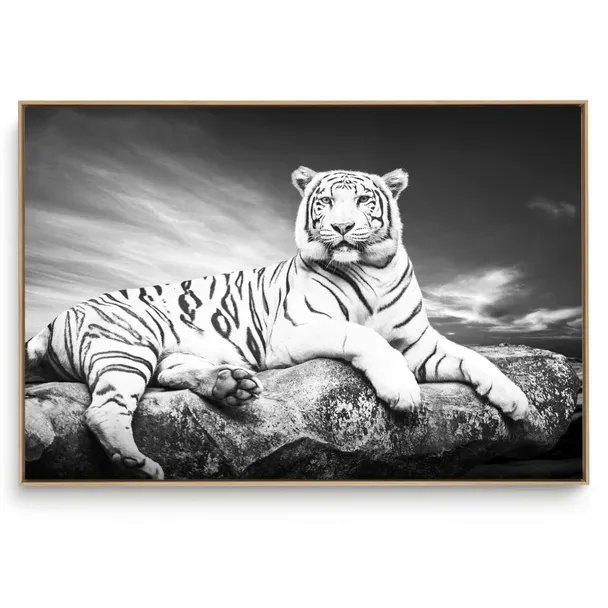 Quadro Decorativo Tigre IV