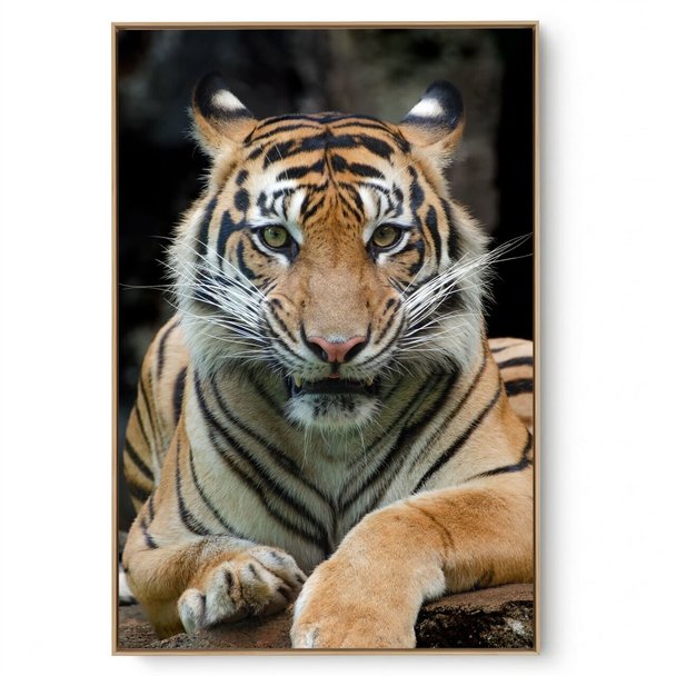 Quadro Decorativo Tigre VII