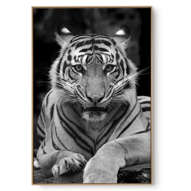 Quadro Decorativo Tigre VIII