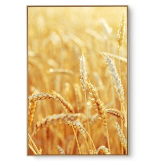 Quadro Decorativo Trigo V