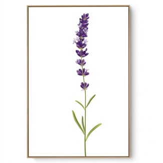Quadro Decorativo Lavanda I