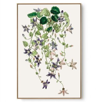 Quadro Decorativo Violeta I