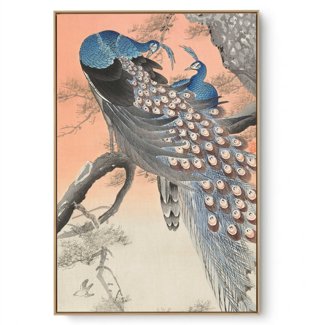 Quadro Decorativo Reprodução Pintores - Ohara Koson - Pavão em Árvore
