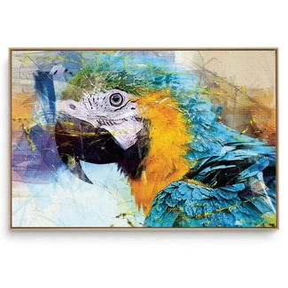 Quadro decorativo Arara Azul