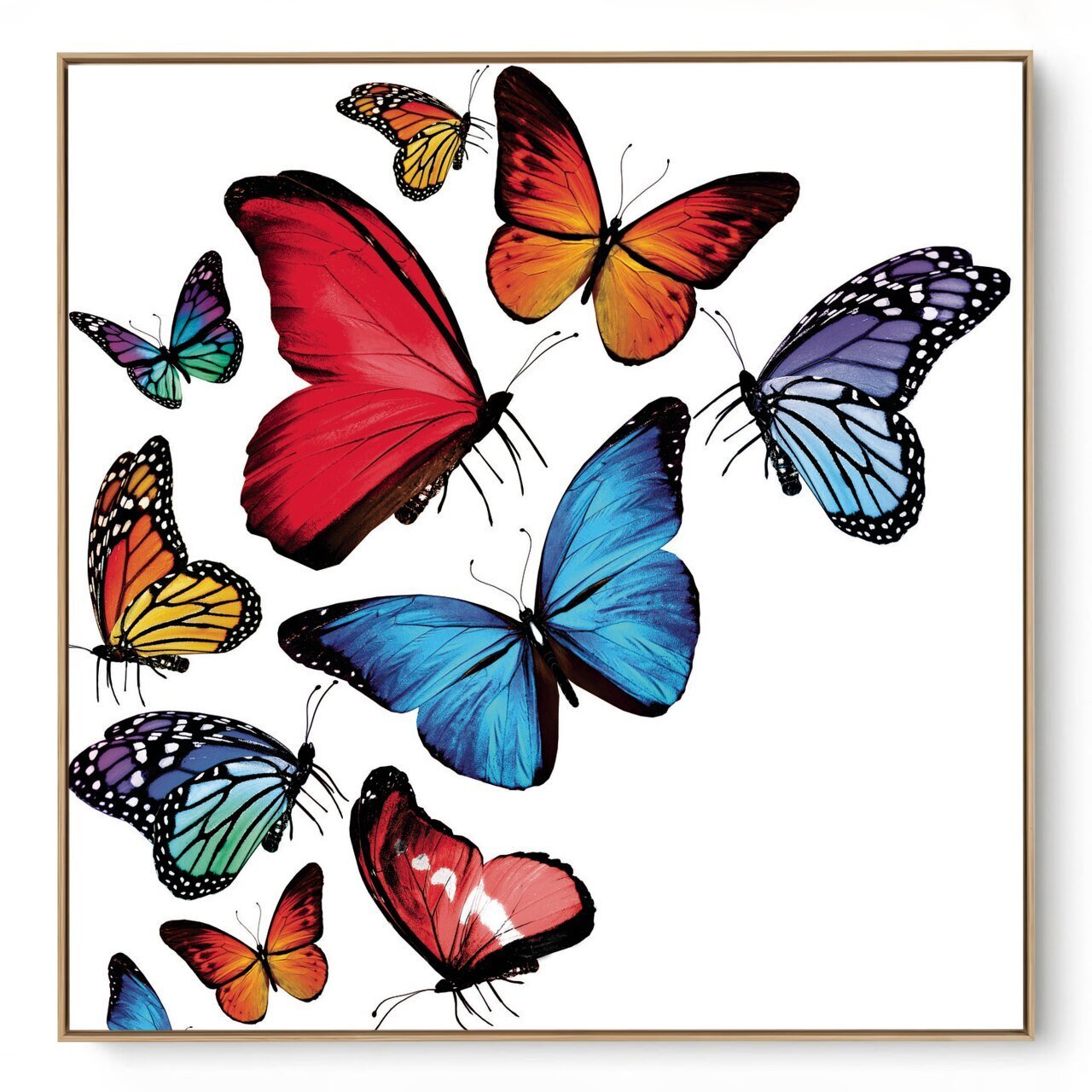 Quadro Decorativo  Borboletas Coloridas