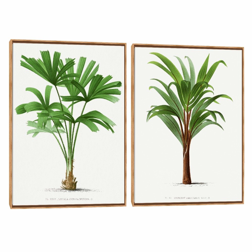 Quadro Decorativo Composição Duplo Palmeira