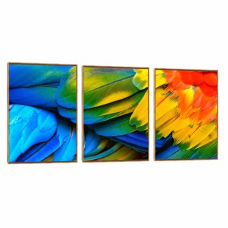 Quadro Decorativo Composição Trio Arara Penas