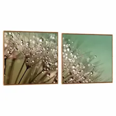 Quadro Decorativo Composição Duplo Orvalho
