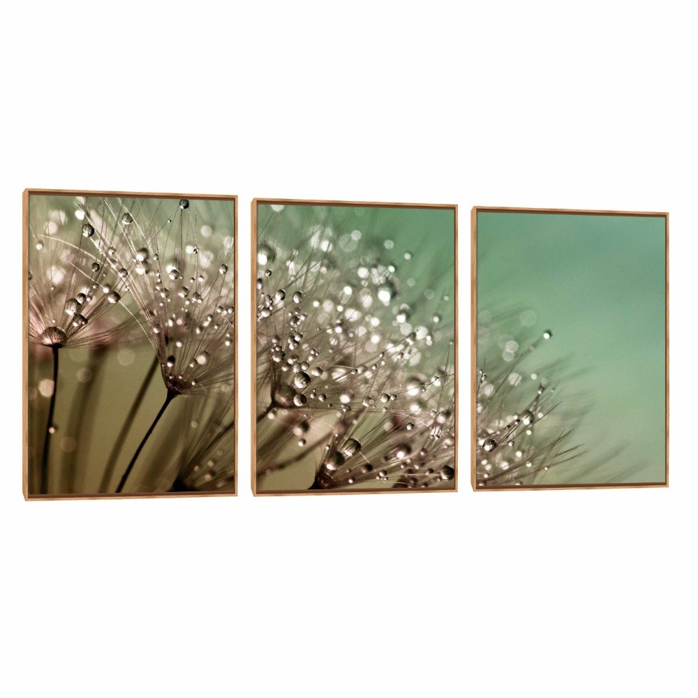 Compre Quadro Decorativo Composição Trio Orvalho - Decora Online