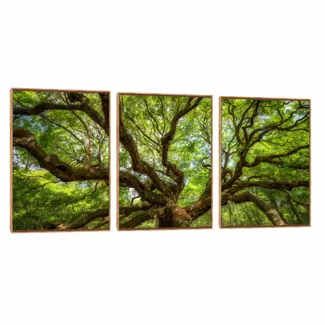 Quadro Decorativo Composição Trio Árvore Frondosa