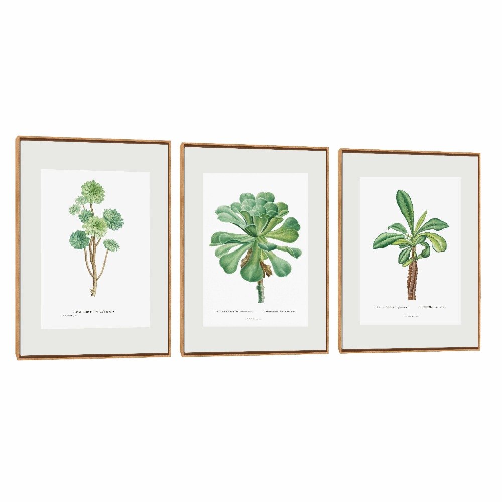 Quadro Decorativo Composição Trio Sempre Vivas