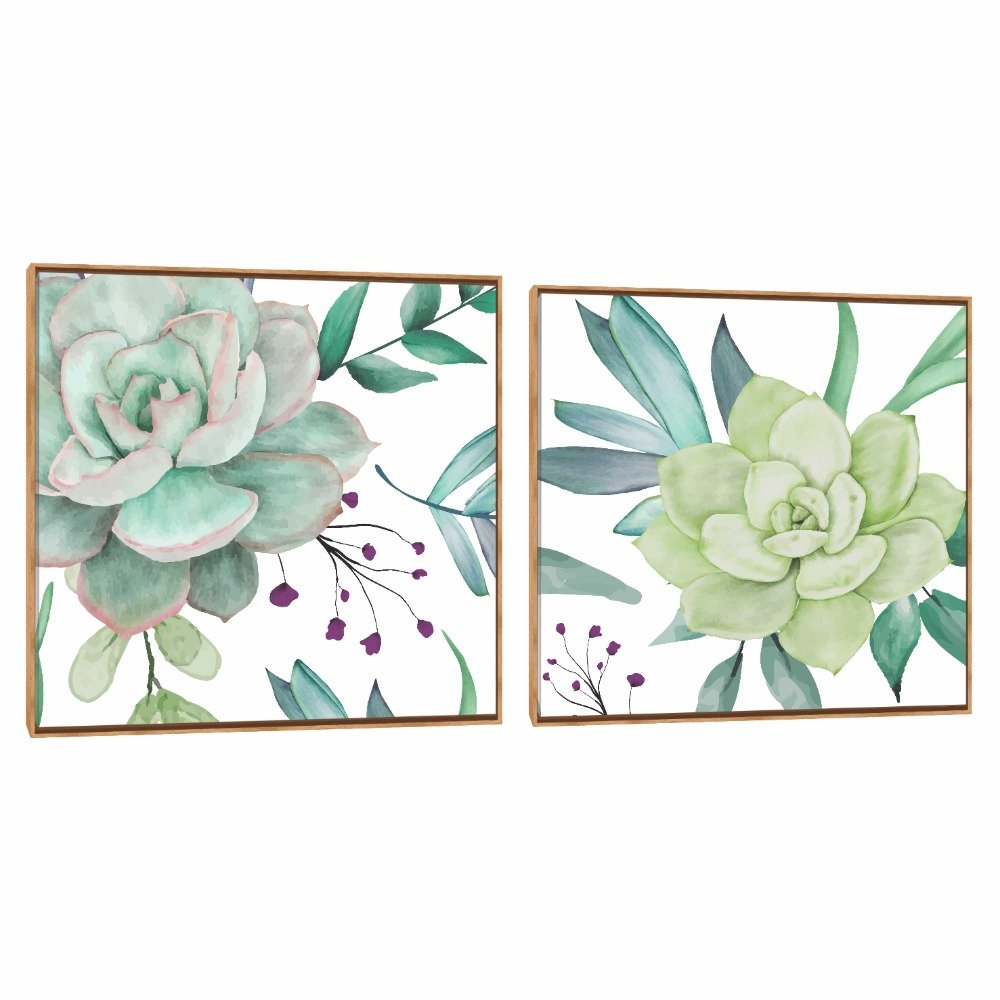 Quadro Decorativo Composição Duplo Suculenta Aqua 