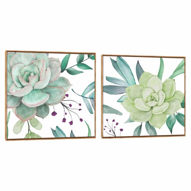 Quadro Decorativo Composição Duplo Suculenta Aqua