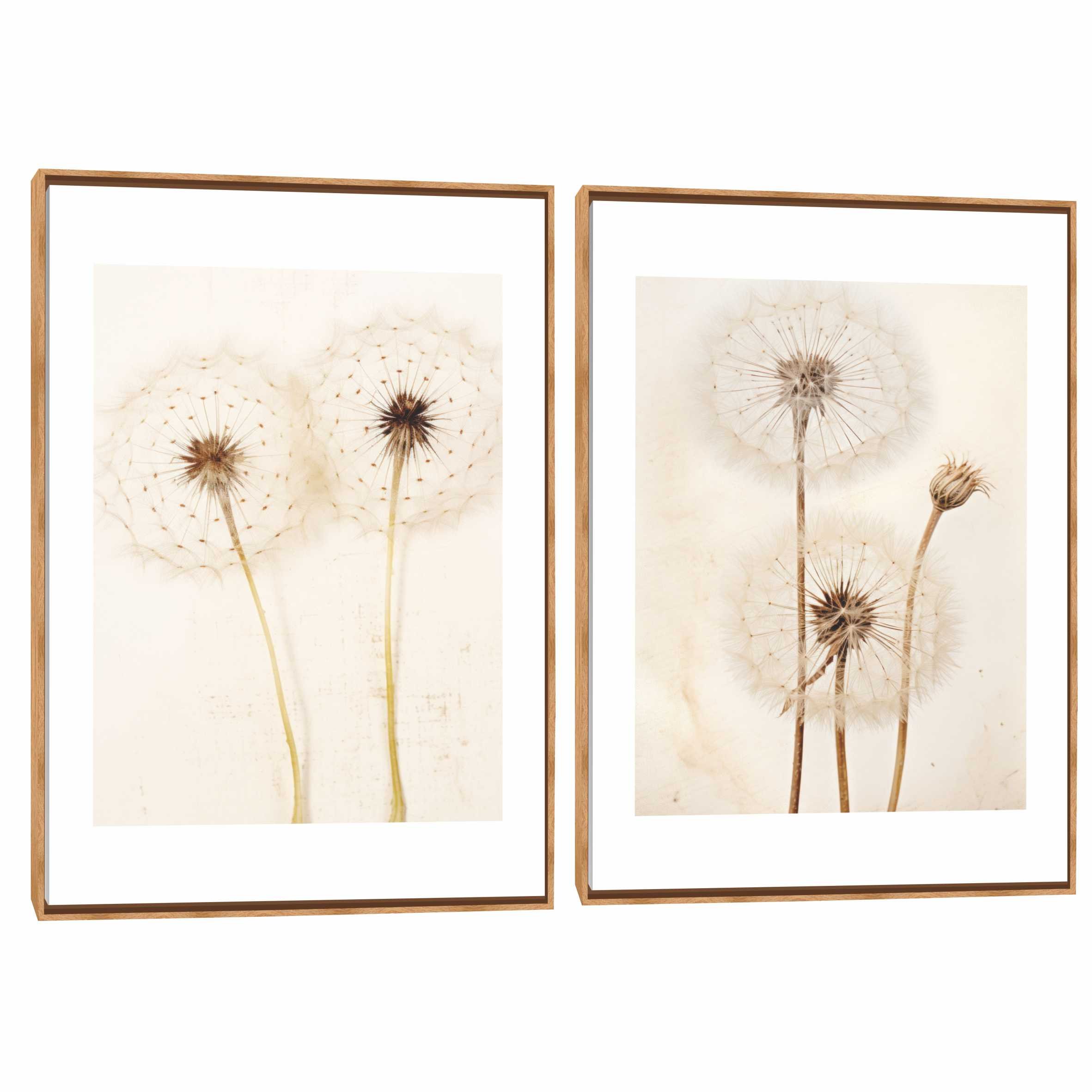 Quadro Decorativo Composição Duplo Dente de Leão Suave II