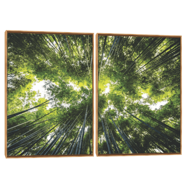 Quadro Decorativo Composição Duplo Floresta II