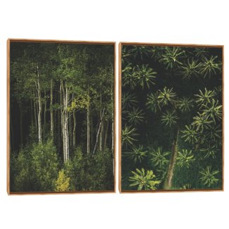 Quadro Decorativo Composição Duplo Natureza