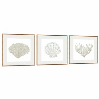 Quadro Decorativo Composição Trio Conchas