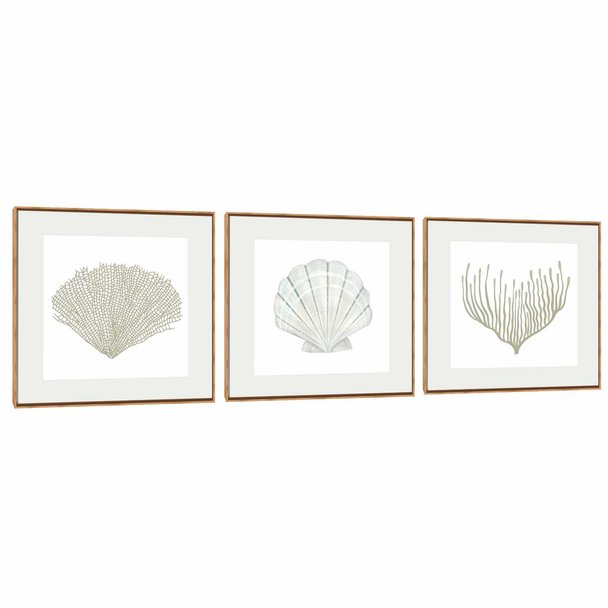 Quadro Decorativo Composição Trio Conchas