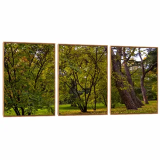 Quadro Decorativo Composição Trio Serie Árvore I