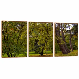 Quadro Decorativo Composição Trio Serie Árvore I