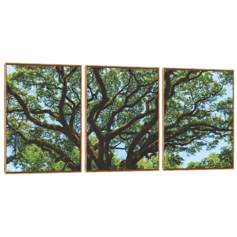 Quadro Decorativo Composição Trio Serie Árvore IV