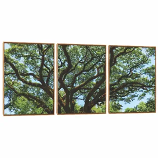 Quadro Decorativo Composição Trio Serie Árvore IV