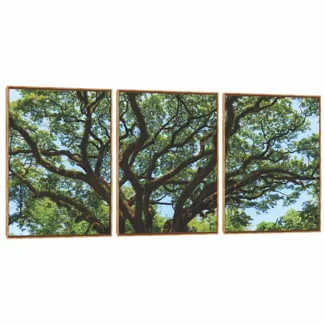 Quadro Decorativo Composição Trio Serie Árvore IV