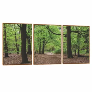 Quadro Decorativo Composição Trio Serie Árvore II