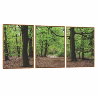 Quadro Decorativo Composição Trio Serie Árvore II