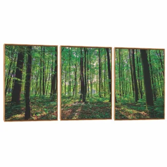 Quadro Decorativo Composição Trio Serie Árvore III