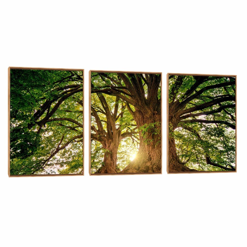 Compre Quadro Decorativo Composição Trio 41 - Decora Online