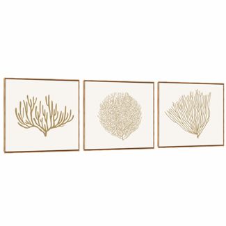 Quadro Decorativo Composição Trio Algas Natural