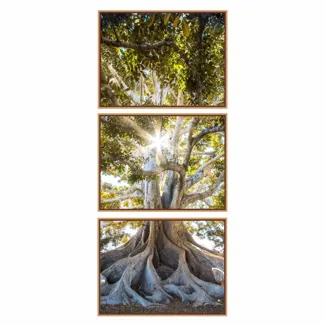 Quadro Decorativo Composição Árvore Raiz Vertical